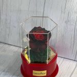 گل رز جاودان کد j02