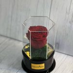 گل رز جاودان قرمز