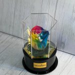 گل رز جاودان هفت رنگ