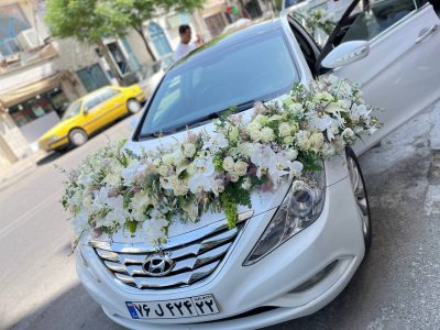 ماشین عروس لاکچری کد101