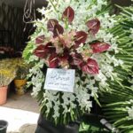 تاج گل ترحیم و تسلیت ارزان