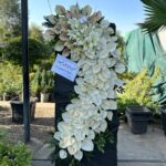 پایه گل تسلیت شماره 64