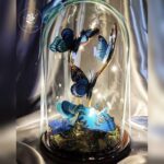 هدیه ولنتاین - شیشه پروانه - پروانه - هدیه خاص - ولنتاین - دسته گل پروانه - هدیه جدید - هدیه ماندگار - هدیه ولنتاین جدید -