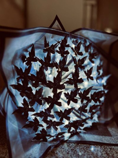 دسته گل پروانه ای مشکی