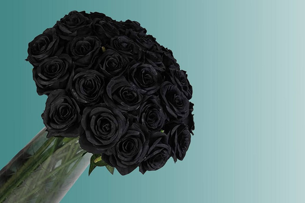 تاریخچه و نماد گل های سیاه