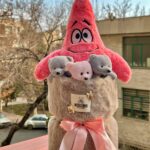 بوکت پاتریک