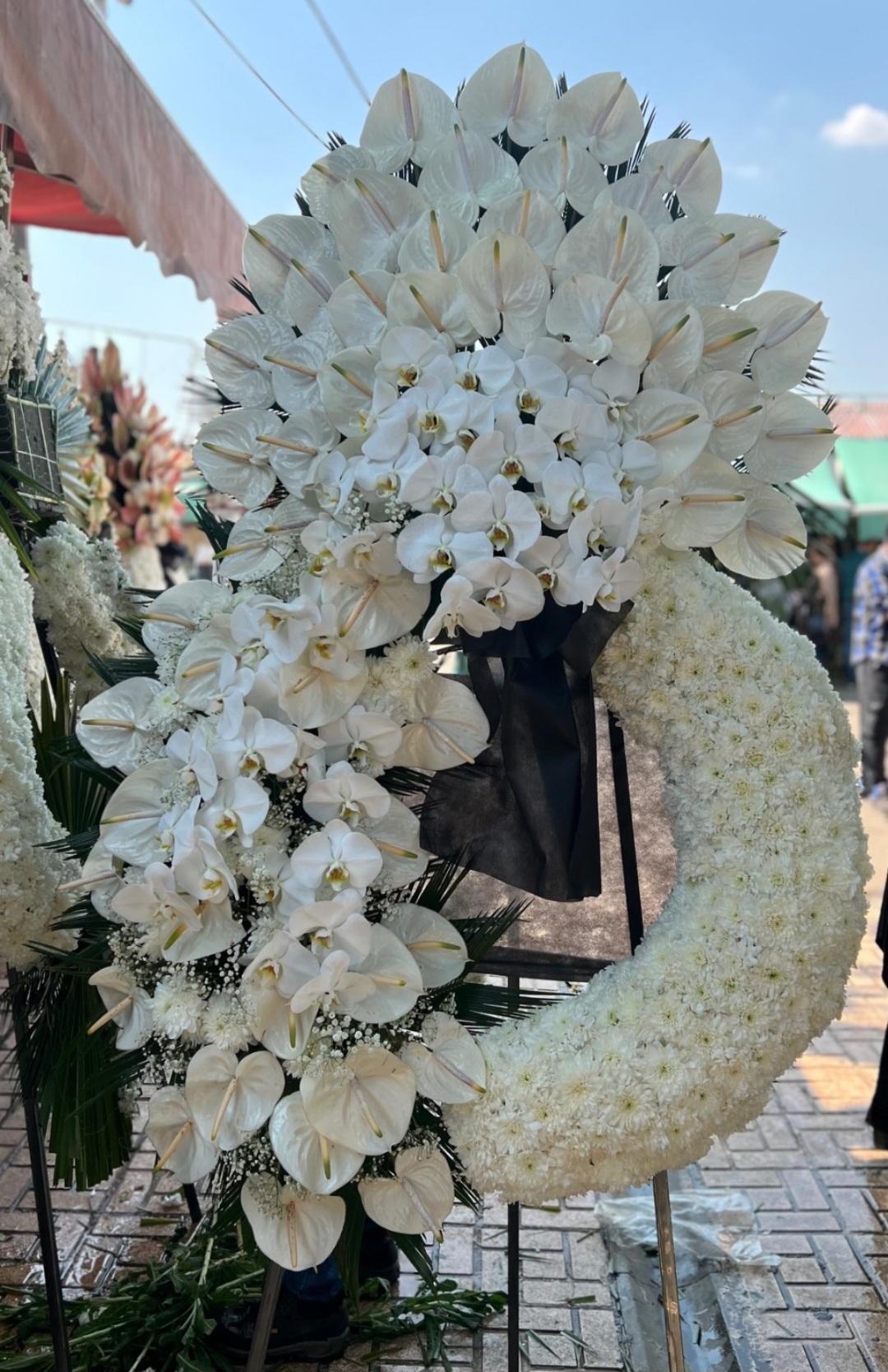 تاج گل درباری شماره 81